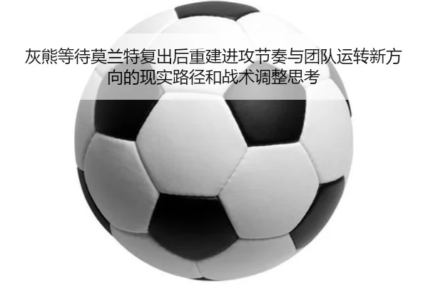 img_1781876387005_135_1_215.jpg